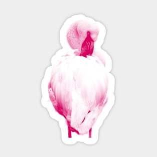 Flamingo 02 Sticker